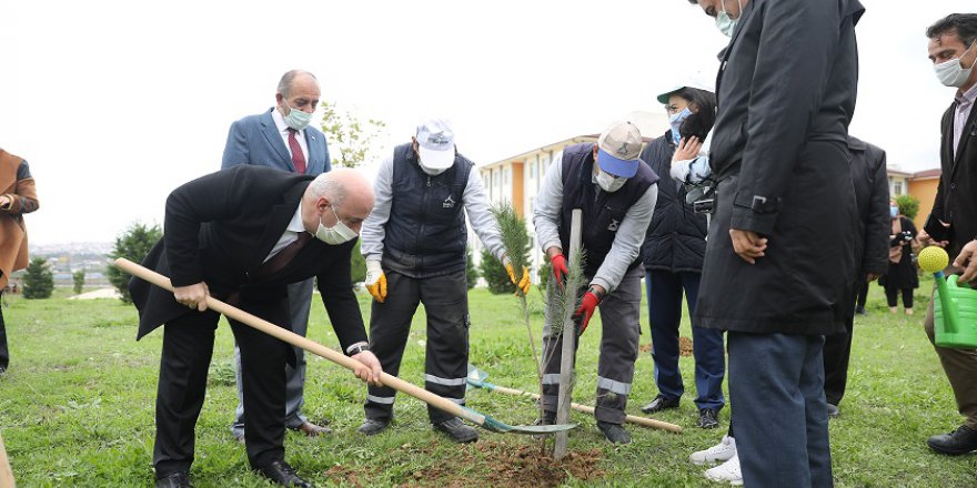 darica’da-fidanlar-toprakla-bulustu-(6)---kopya.jpg